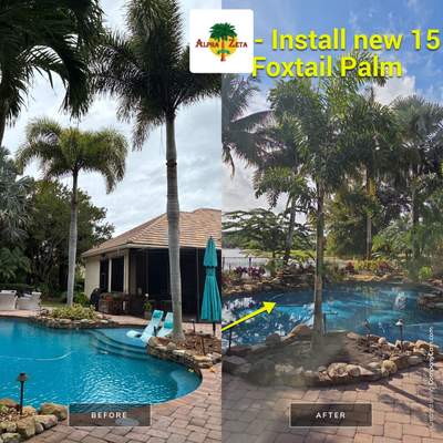 Palm Perfection & Poolside Restoration in Lighthouse Point