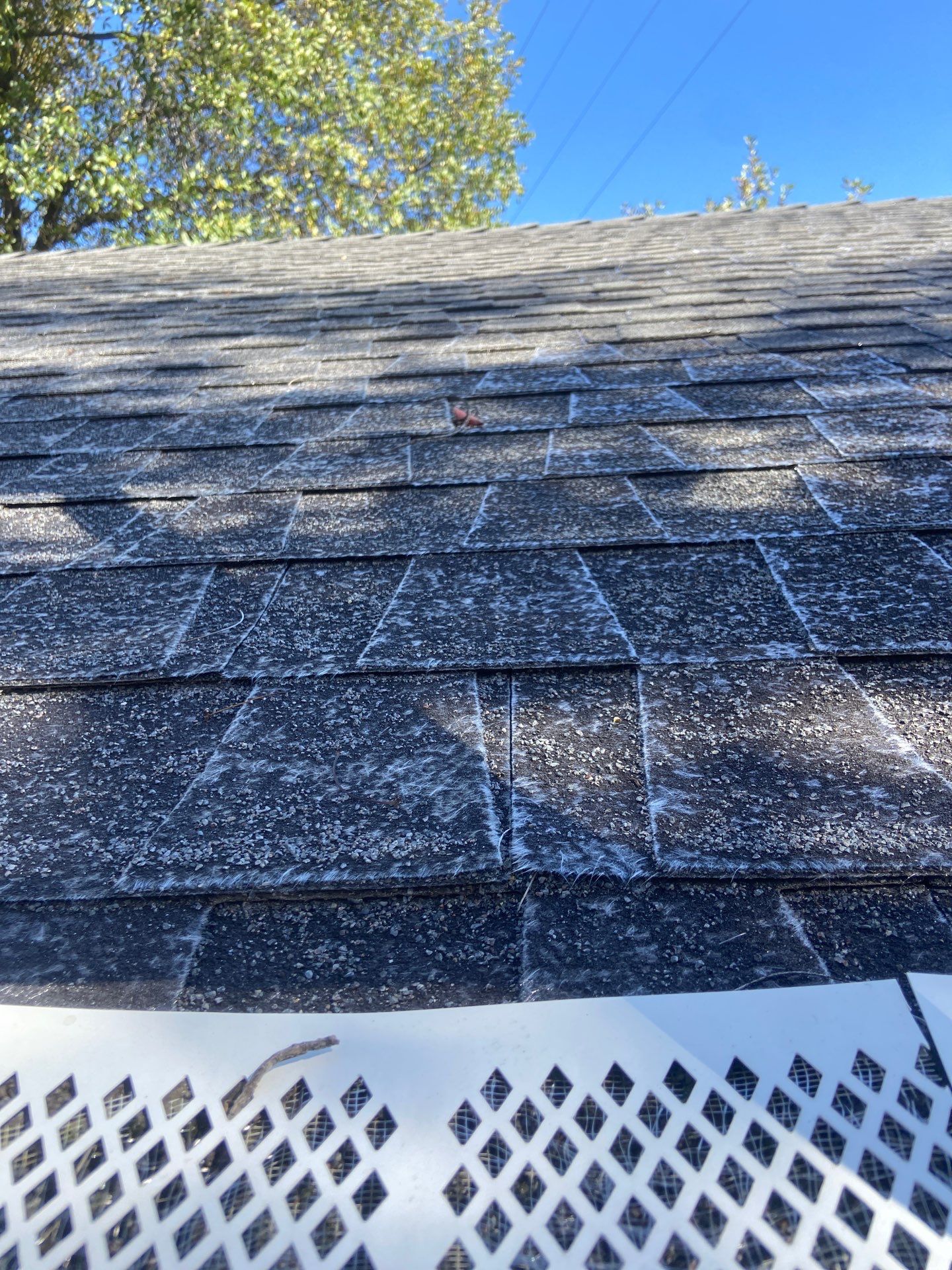Roof Rejuvenation using Roof Maxx Treatment by Roof Maxx of Folsom