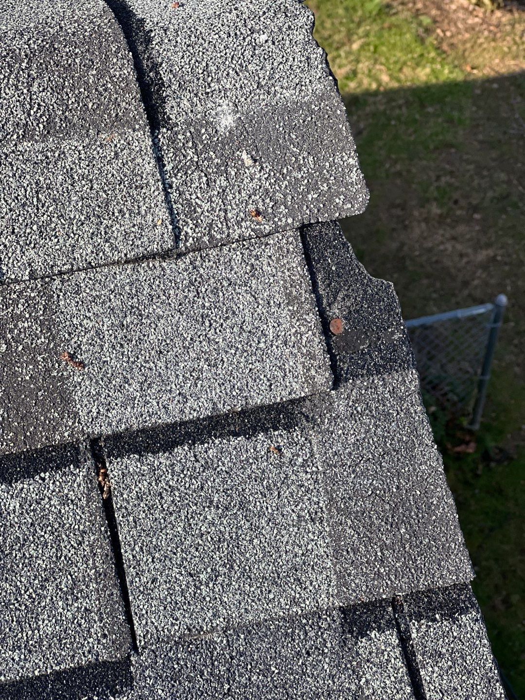 Annandale: CertainTeed Landmark Pro Designer Shingles in Max Def Charcoal Black by RM Banning, Inc.