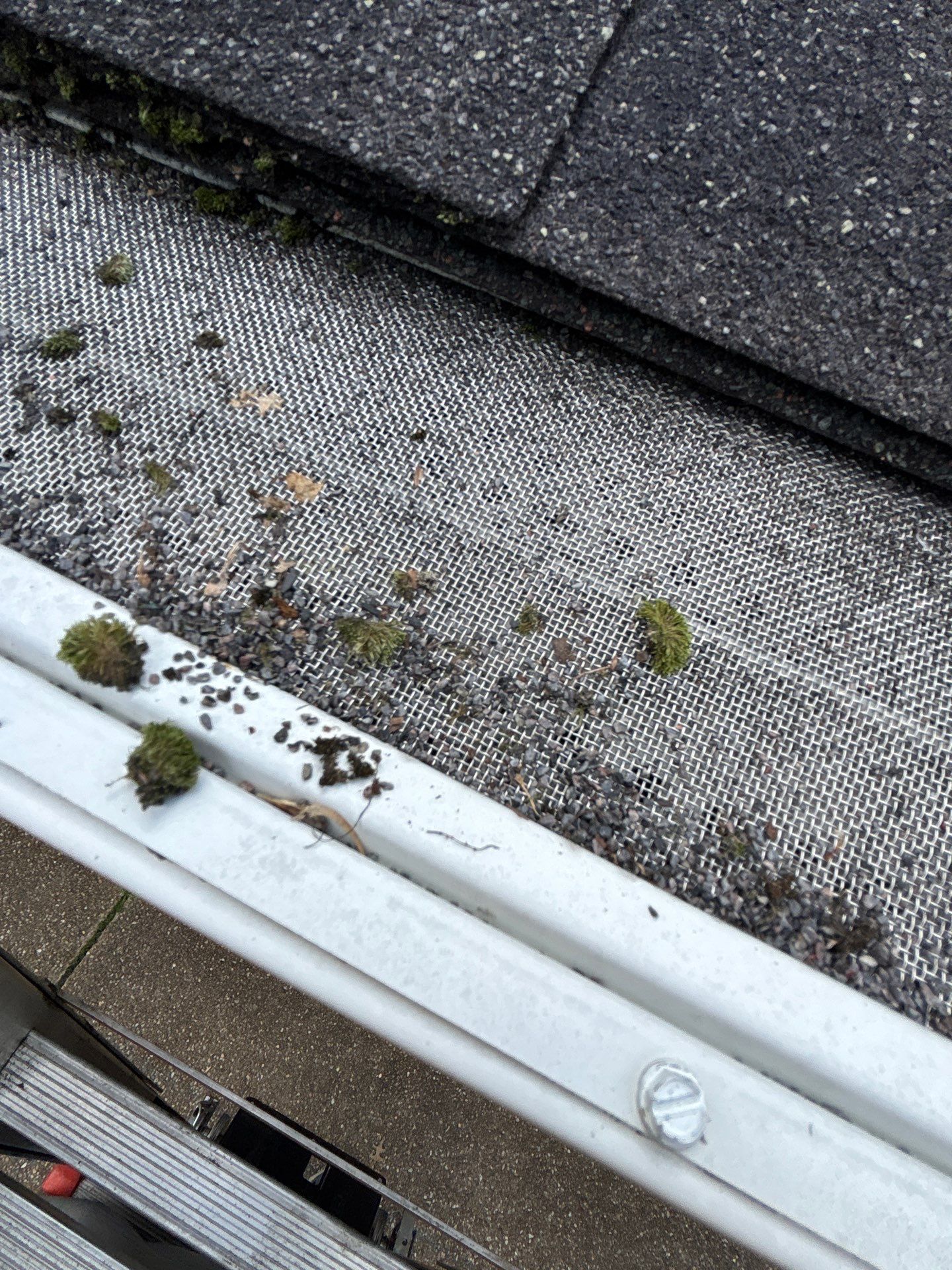 Project in  Richmond by Roof Maxx of Midlothian