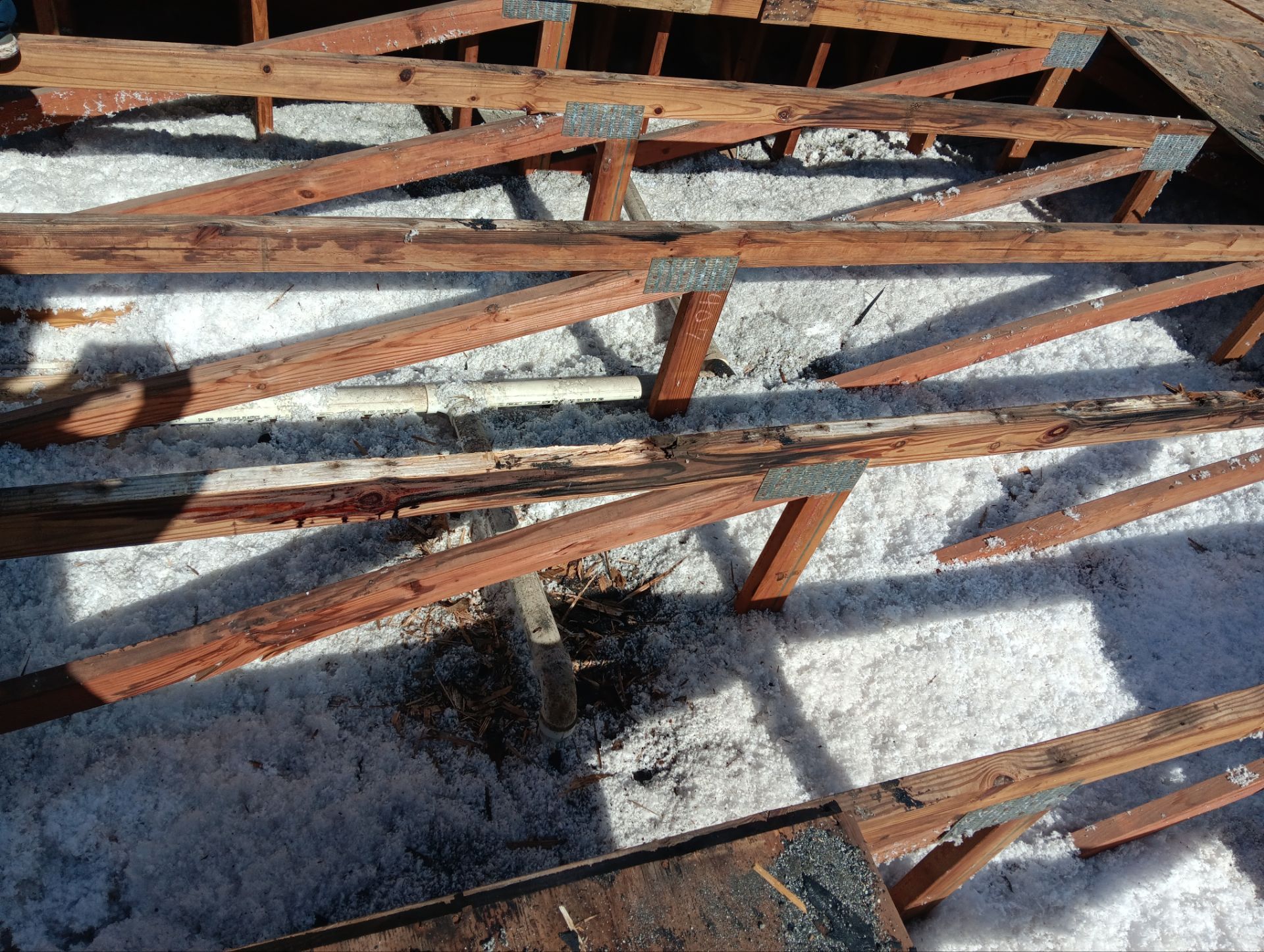 Kirk Apartments  by Oasis Consulting Design LLC