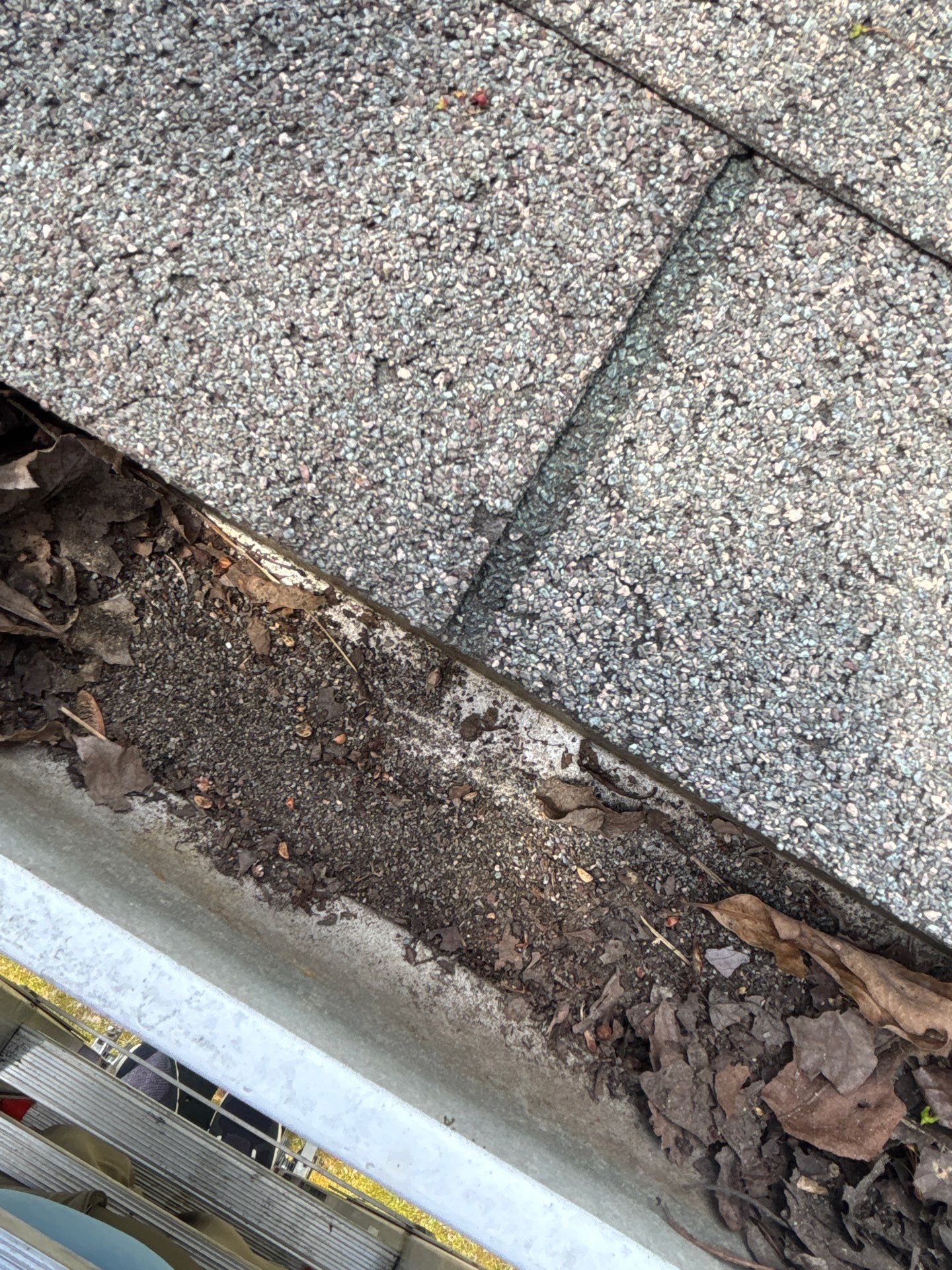 Project in Mechanicsville by Roof Maxx of Midlothian