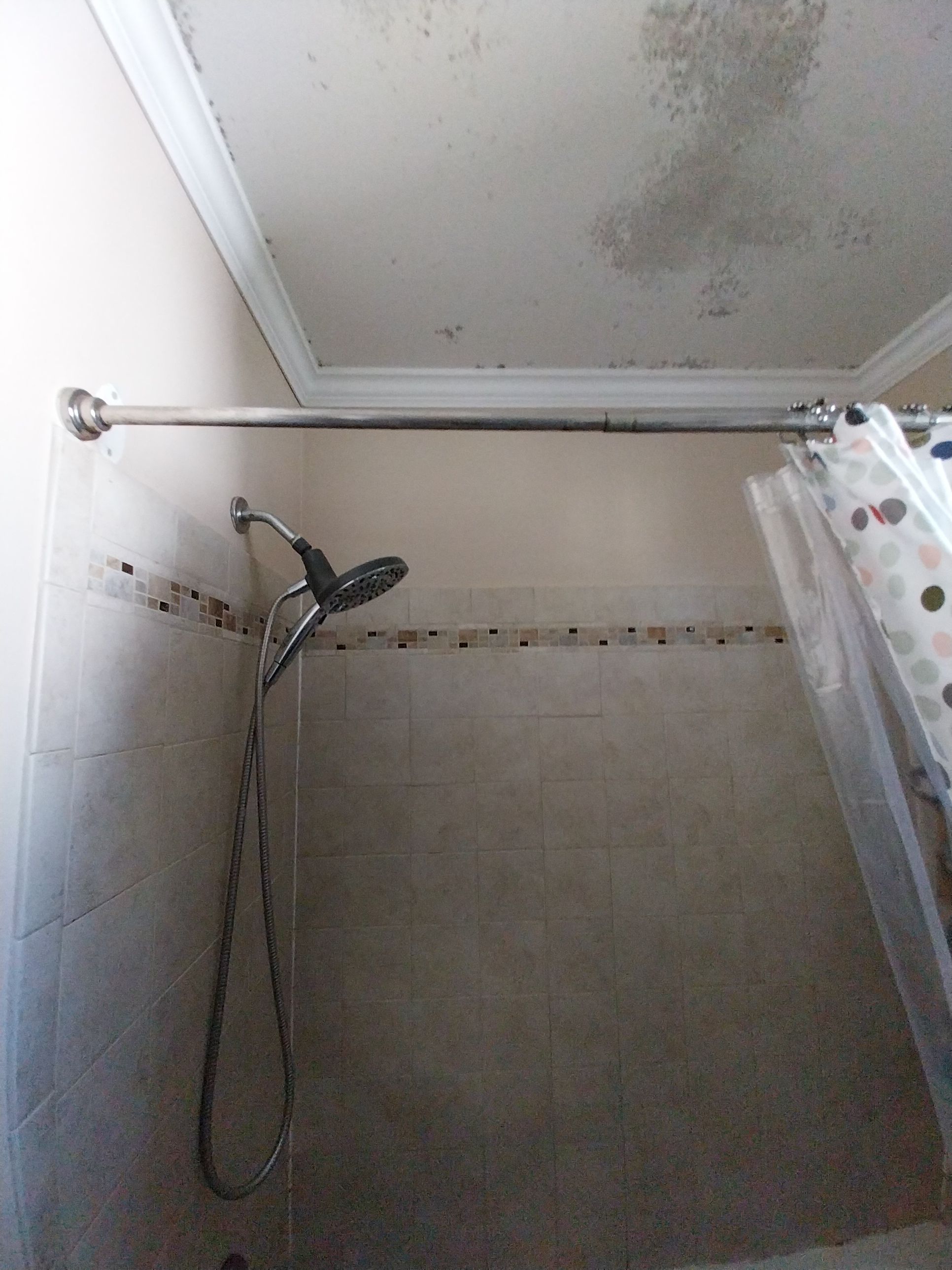 Bathroom Remodel using Sherwin Williams Premium ceiling paint by Laser Focused Solutions LLC