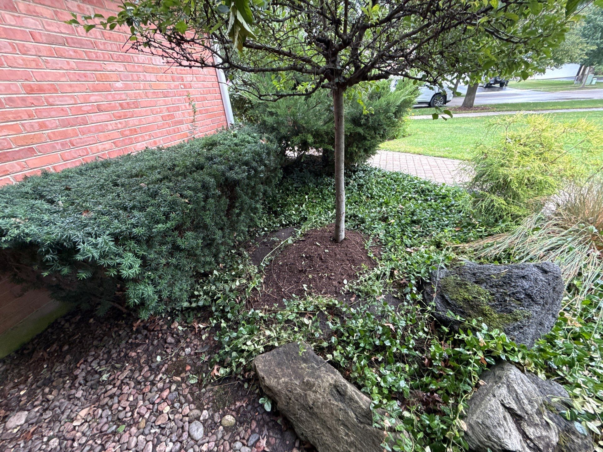 Christopher B. - Glenview, IL by A&N