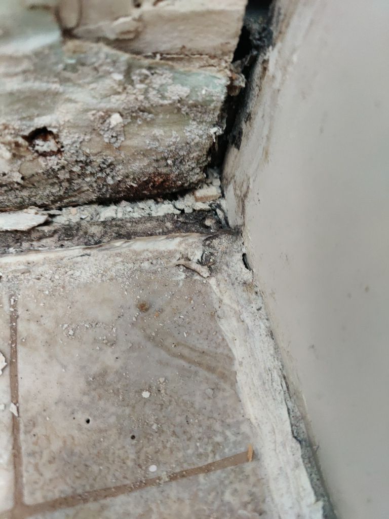 Mold Remediation  by Accountable Home Services