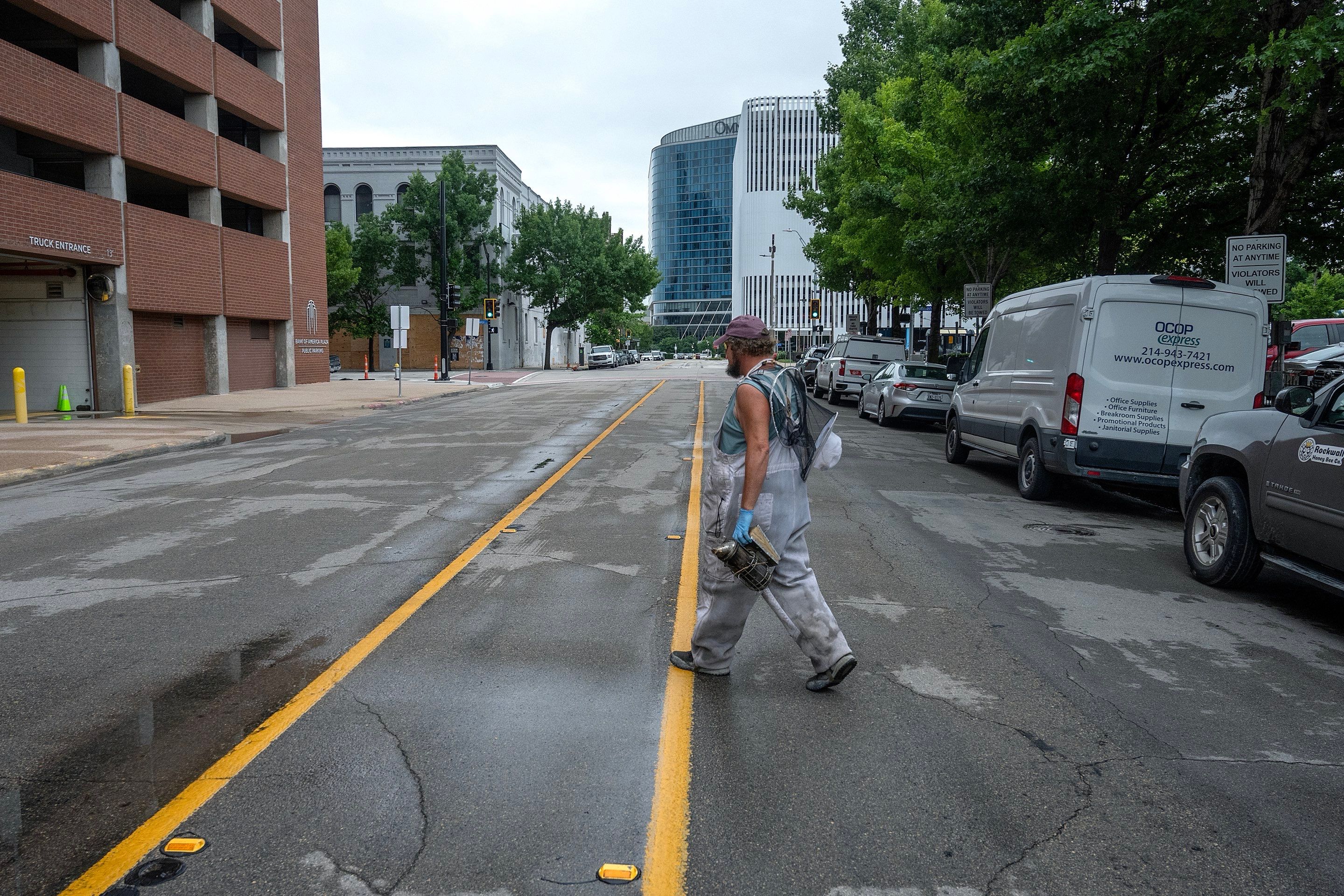 Urban Beekeeping in Dallas by Rockwall Honey Bee Company