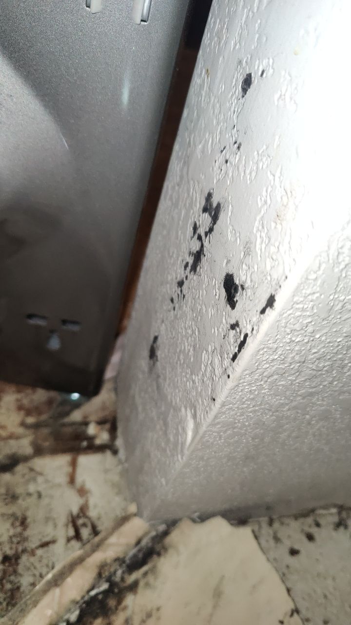 Water Damage  by Accountable Home Services