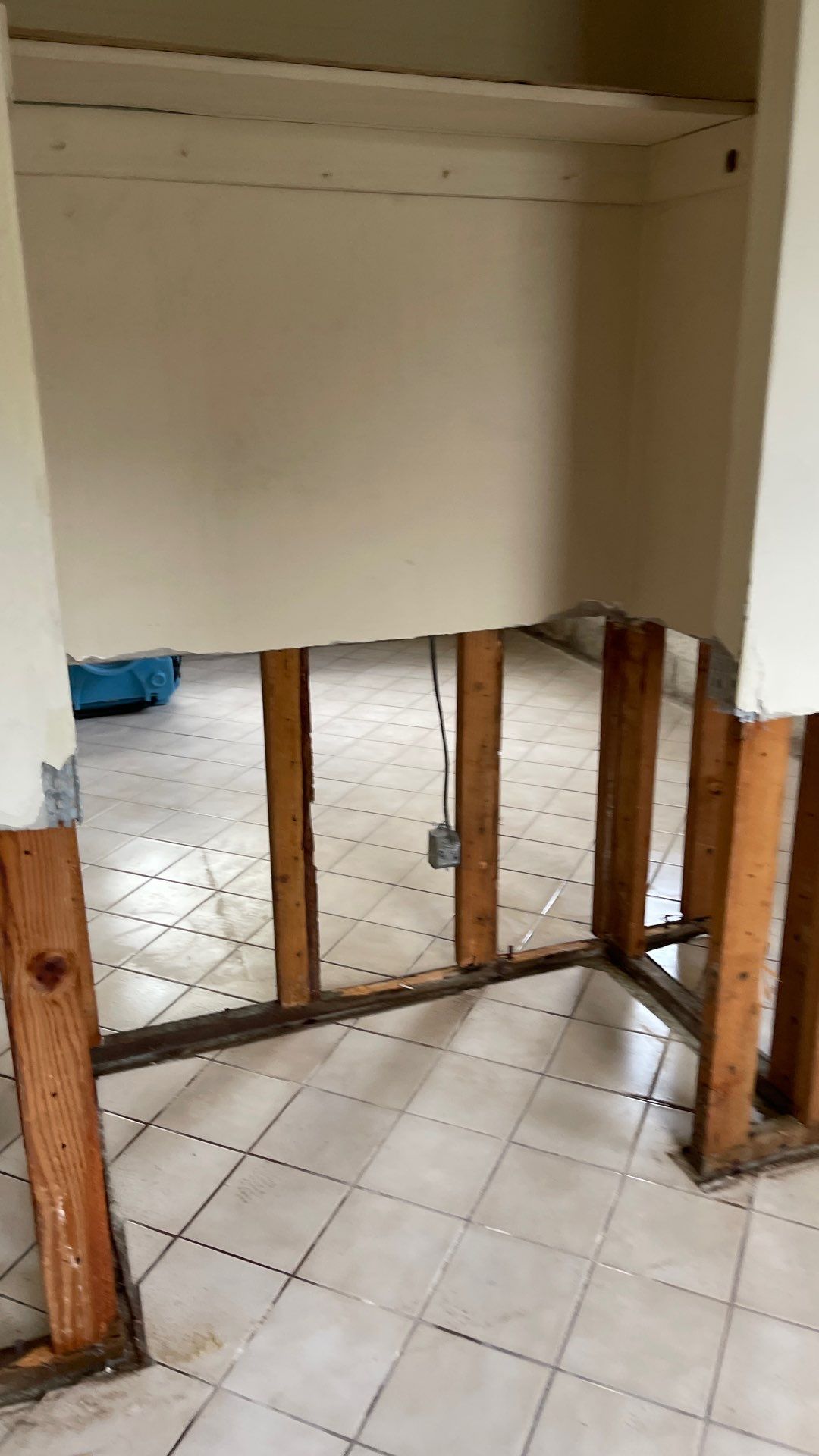 Mold Remediation  by THE RAPID TEAM