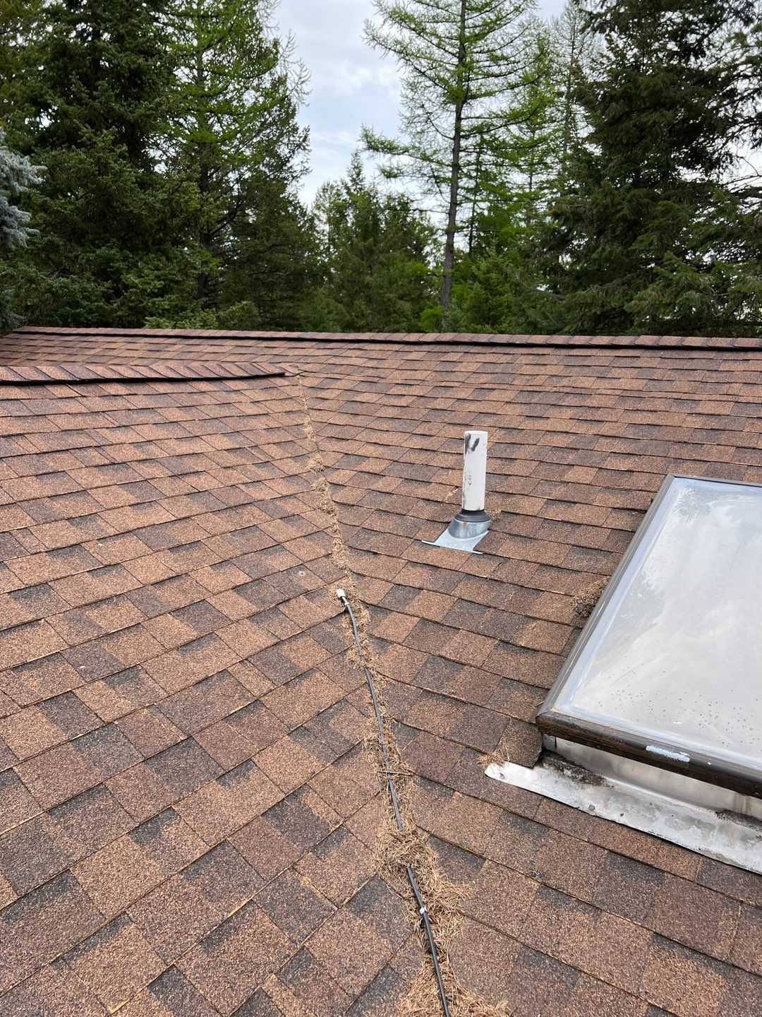 GAF Timberline HDZ - Hunter Green by Montana Roofing Solutions