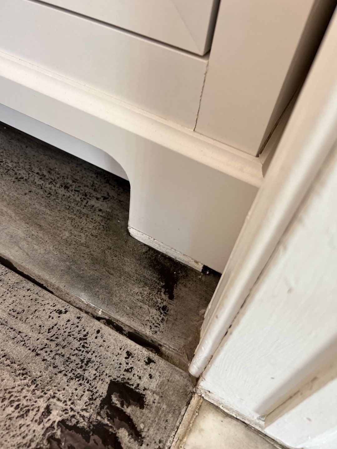 Project in Novi by EzDry Water Mitigation & Property Restoration