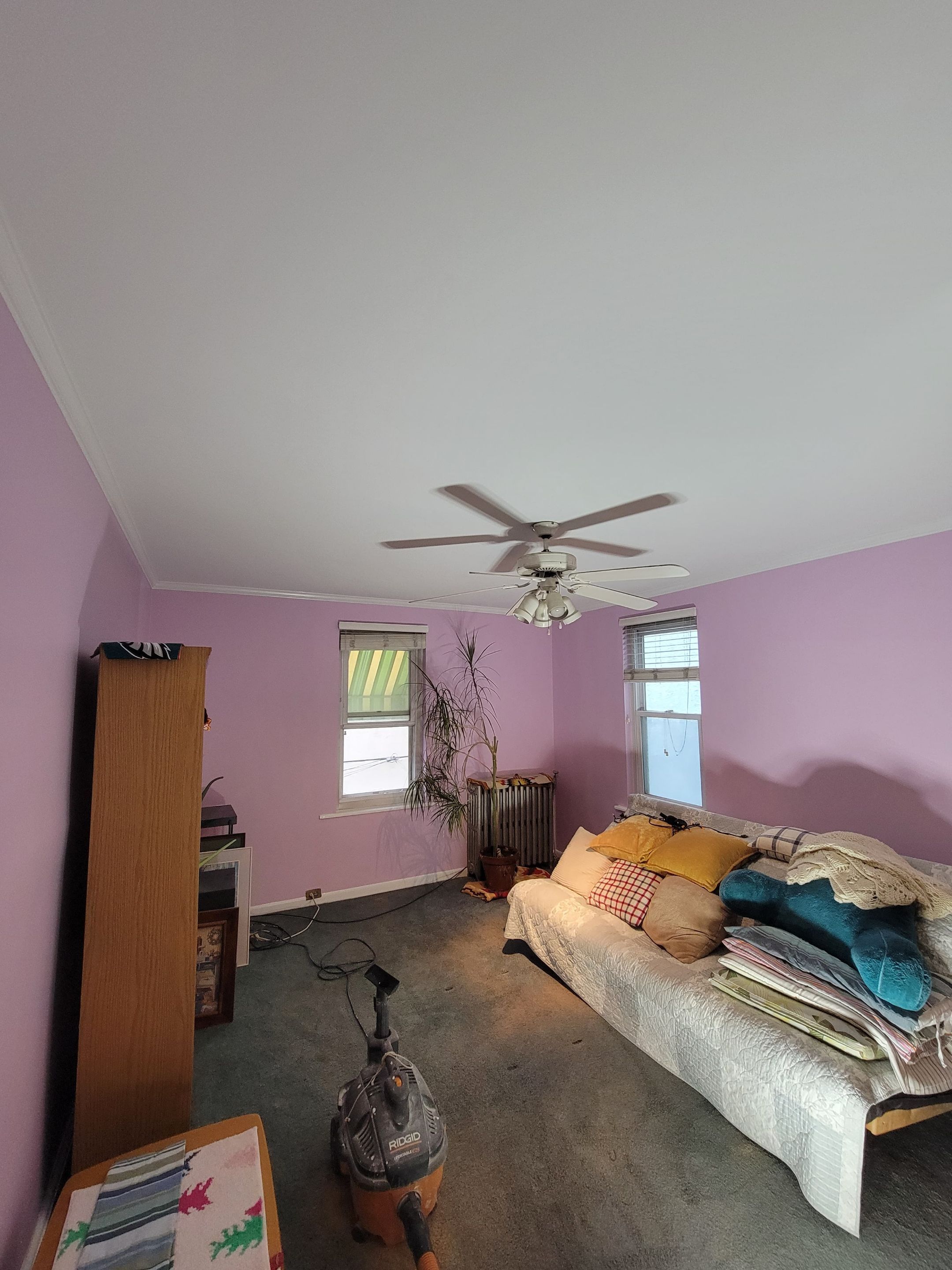 Back Bedroom Transformation in South Philadelphia by Groovy Hues