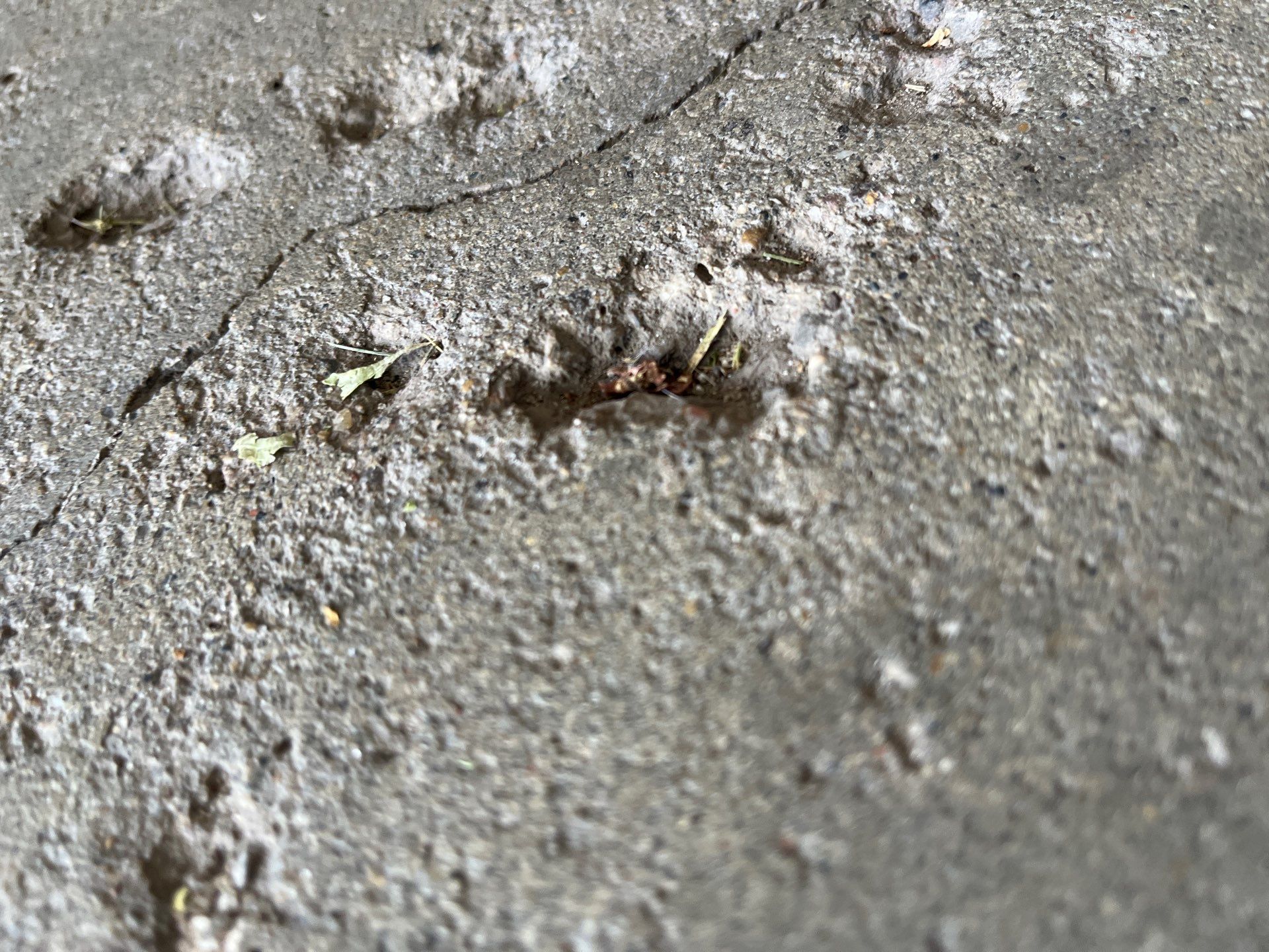 Project in Essexville by Wise Coatings of Central Michigan