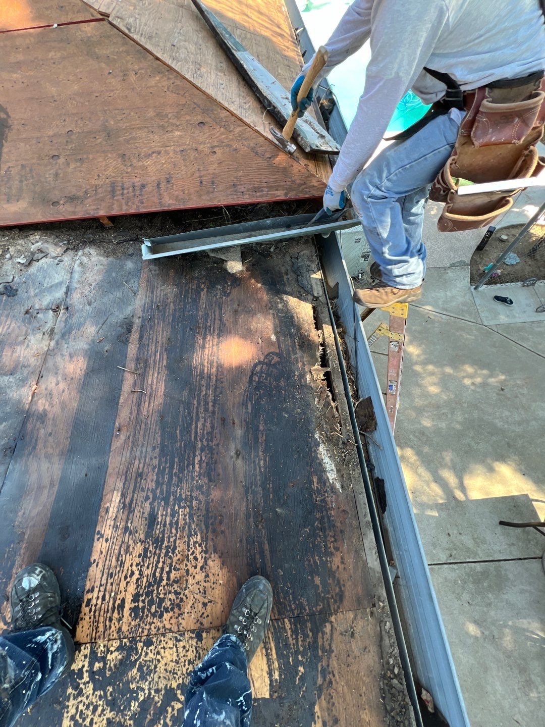 GAF Timberline HDZ-RS shingle project by Straight Edge Roofing Inc