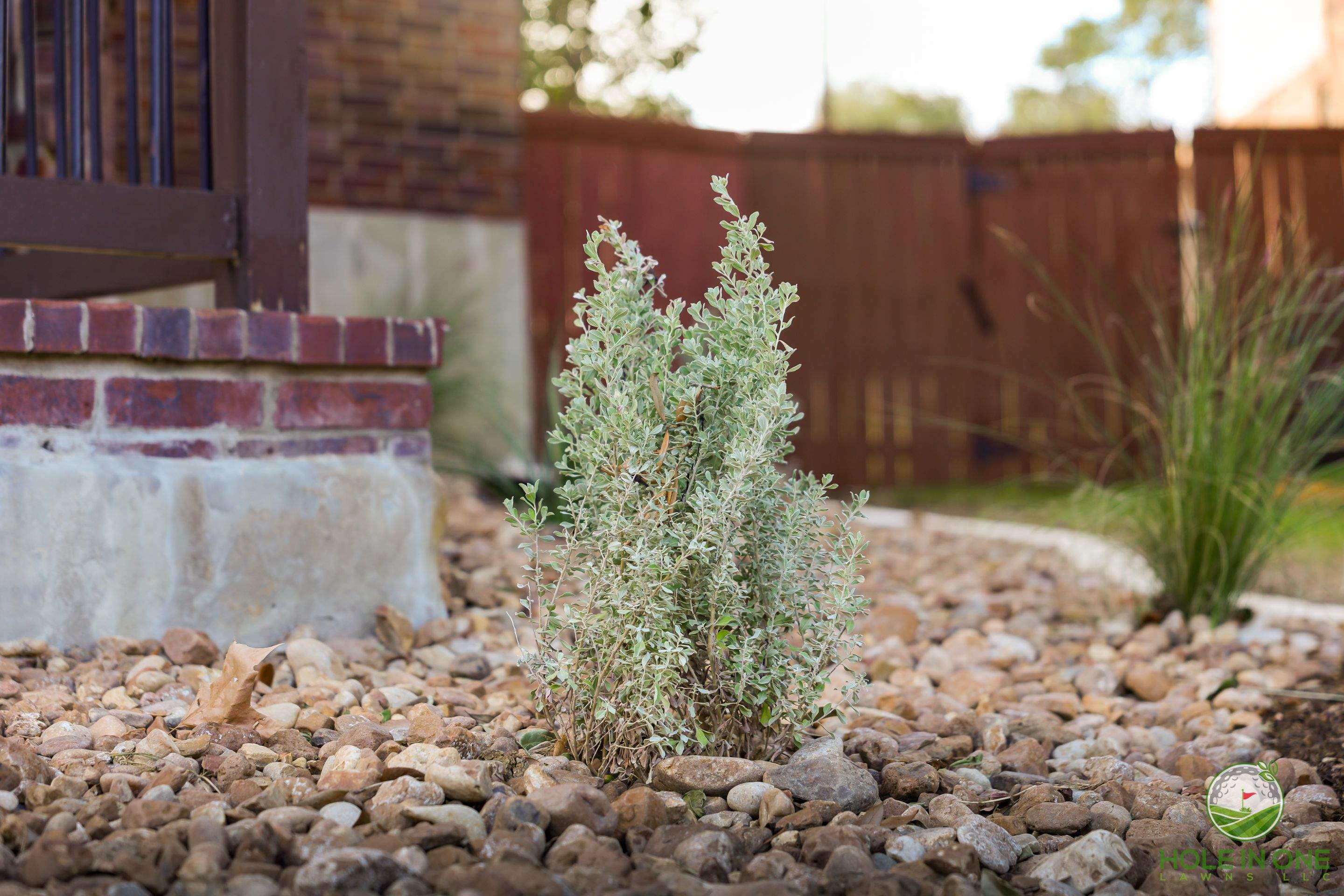Low-Maintenance Front Yard Xeriscape with Chopstone Border, North San Antonio TX by Hole In One Lawns, LLC