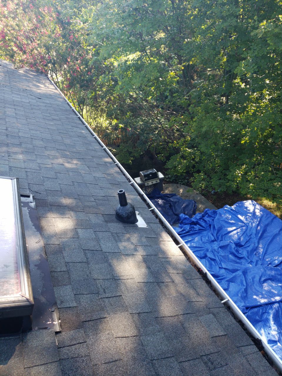 Alexandria: CertainTeed Landmark Pro Designer Shingles in Max Def Colonial Slate by RM Banning, Inc.