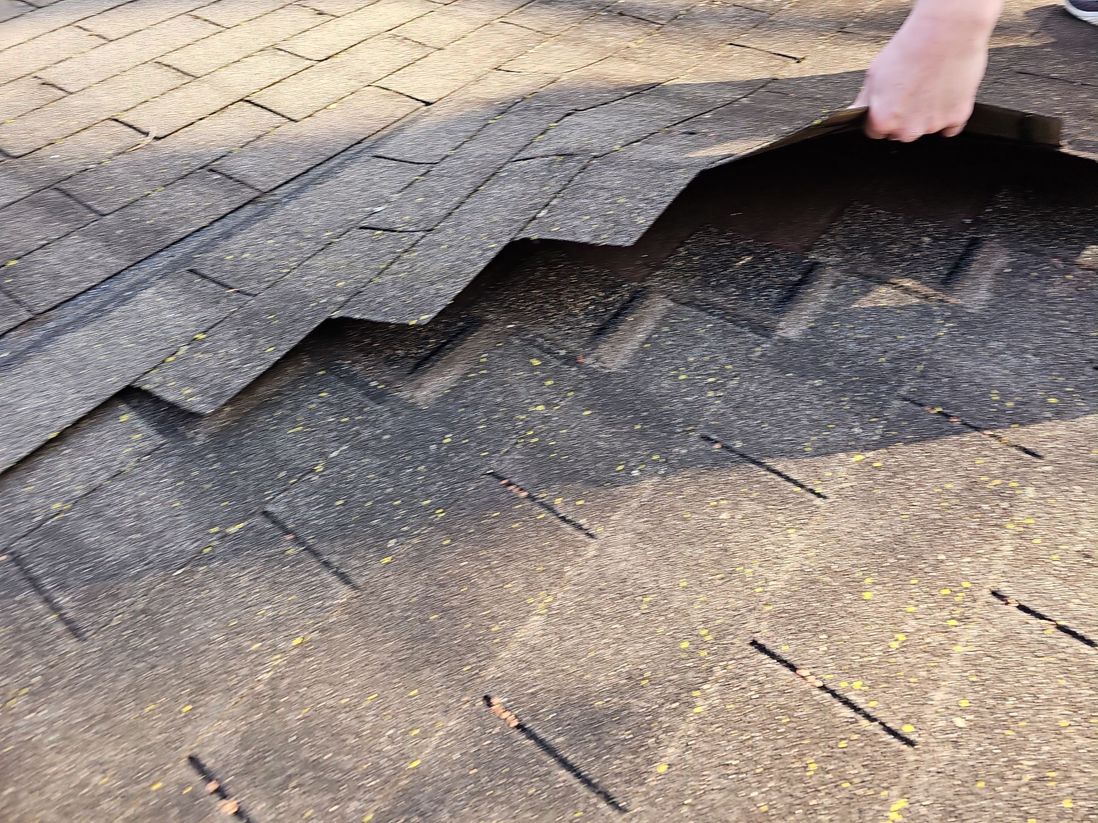 ATLAS PINNACLE HP W/SCOTCHGARD COLOR: SUMMER STORM  by Eagle Eye Roofing