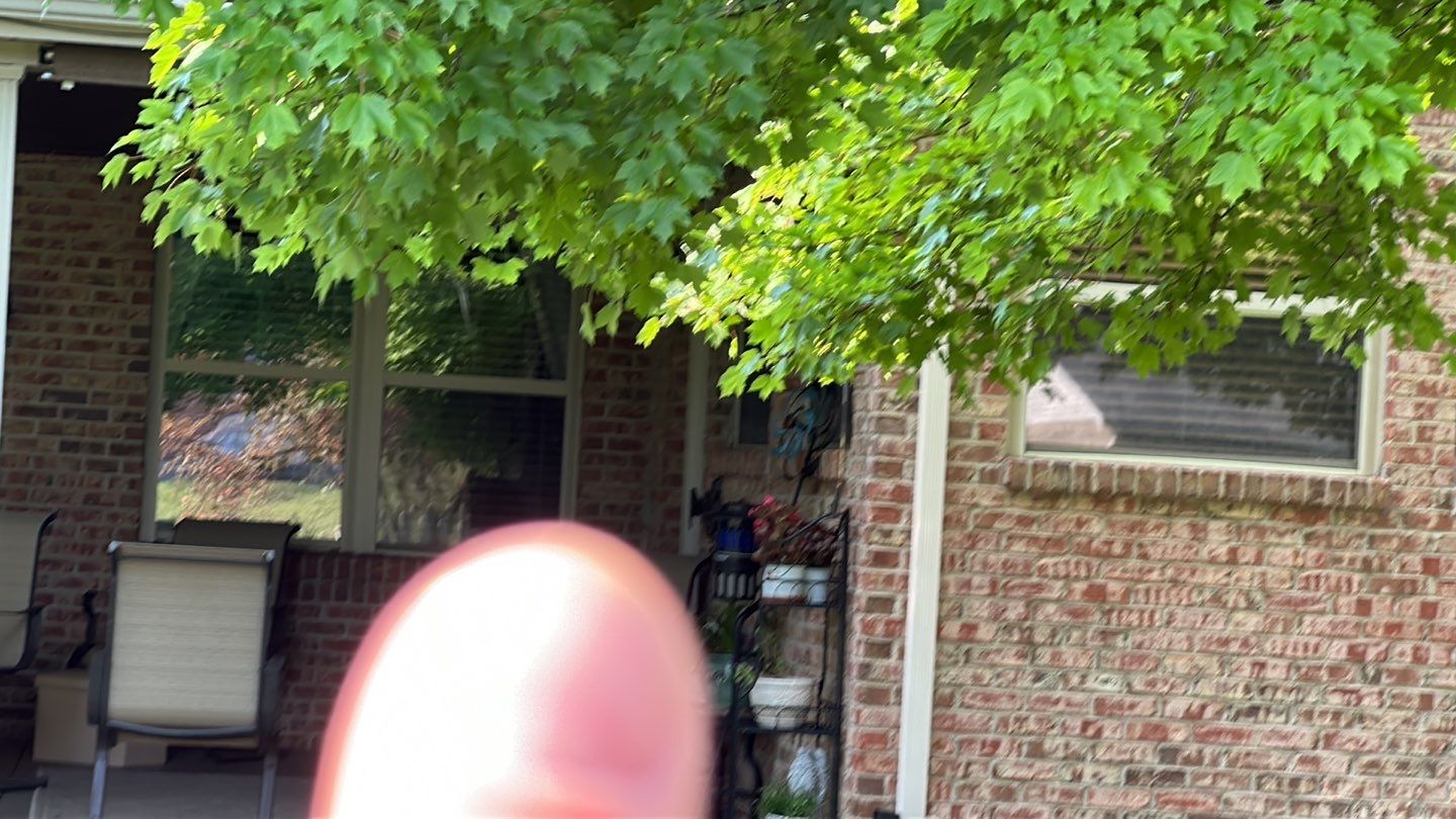 Roof and Windows! by Tamlin Roofing