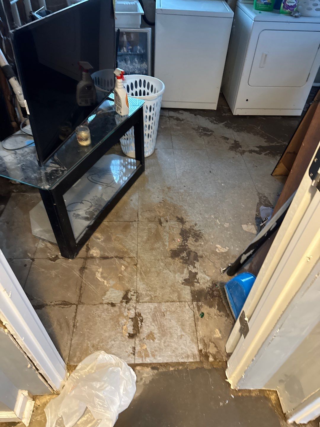 Sewer Drain Back in Basement by Chicagoland Water Medics