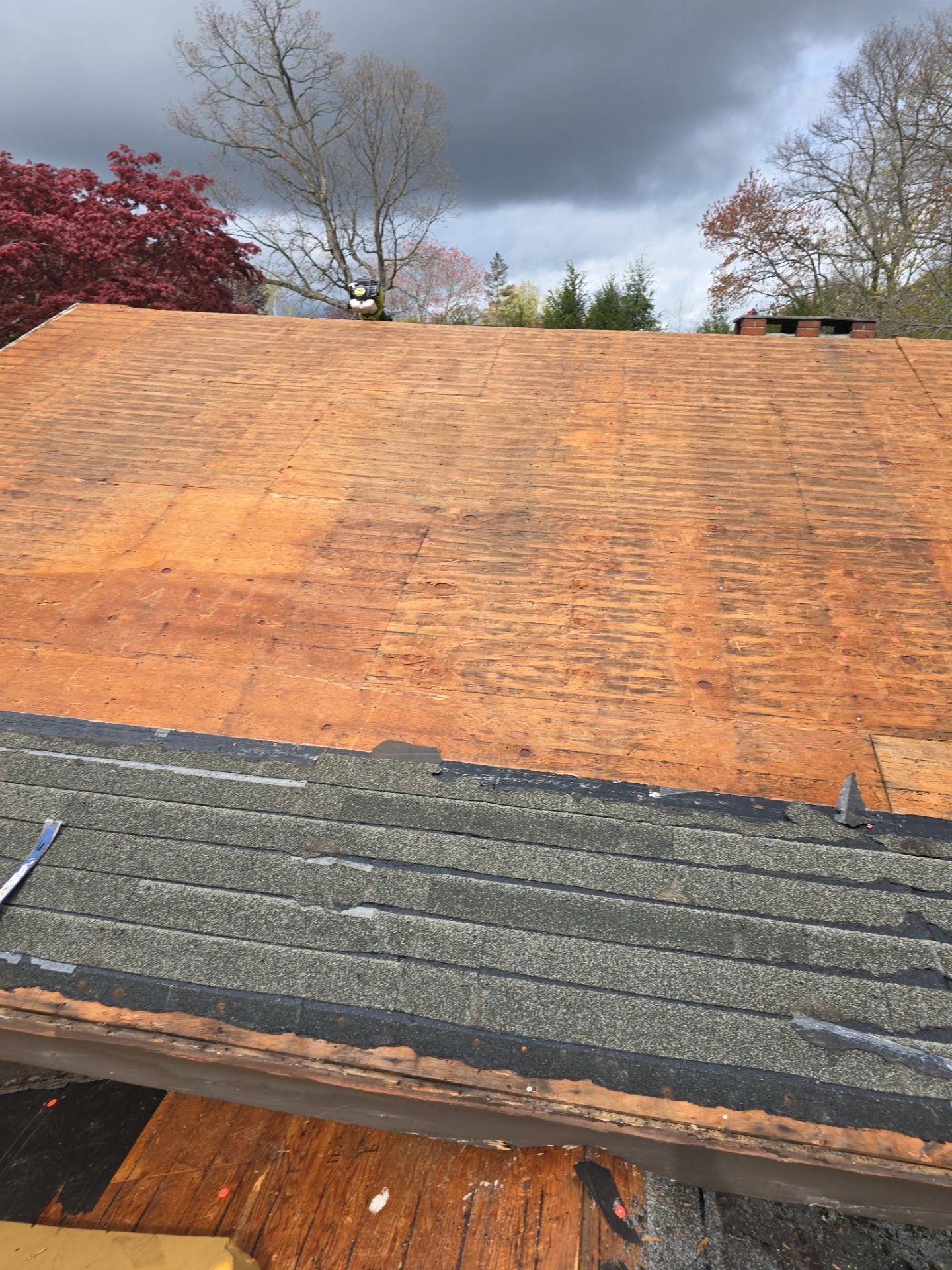 Residential Roof Replacement and Plywood Sheathing Repair in Torrington by A Plus Exterior