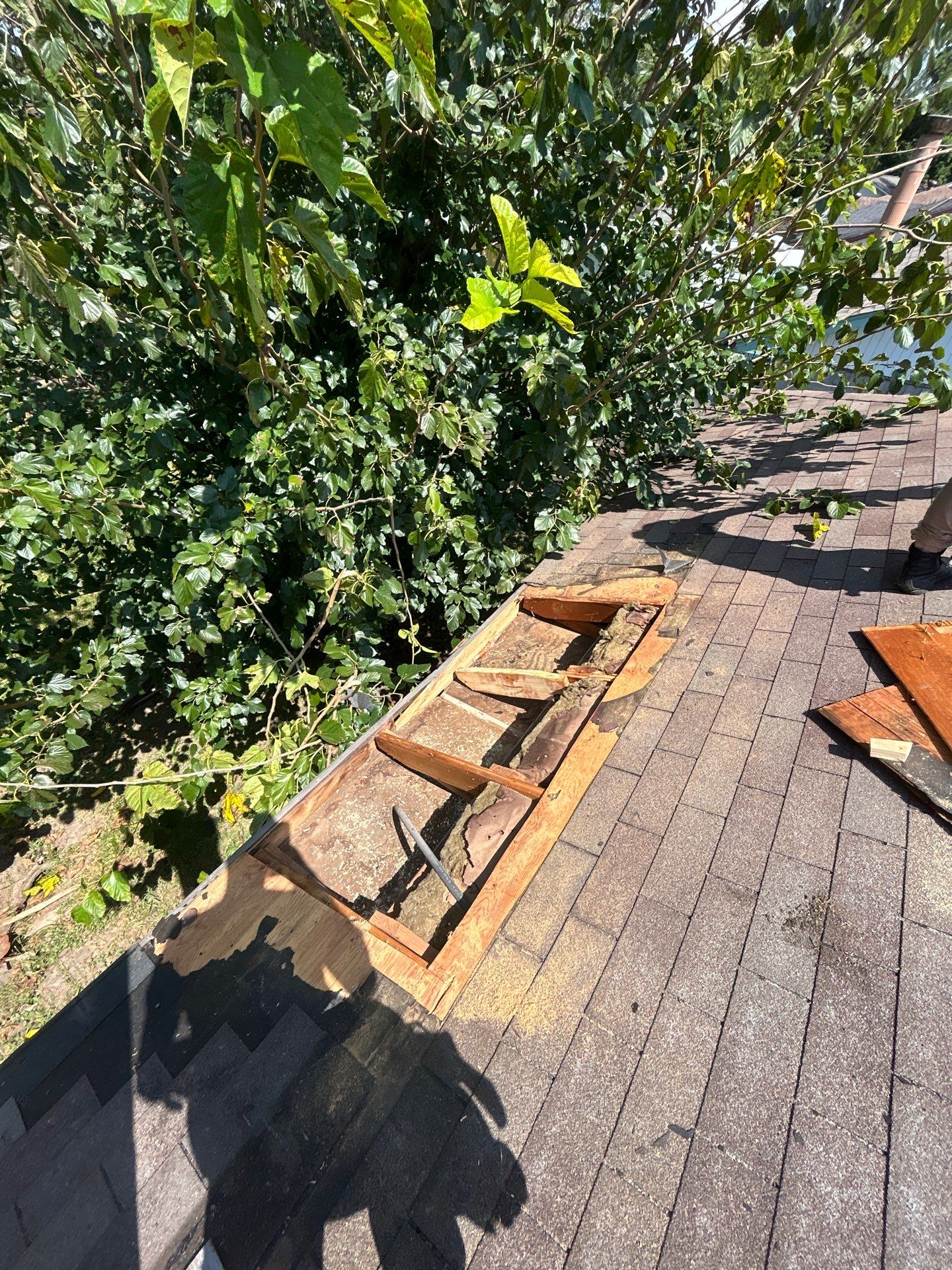 Roof Repair Houston by Roof Repair Services LLC
