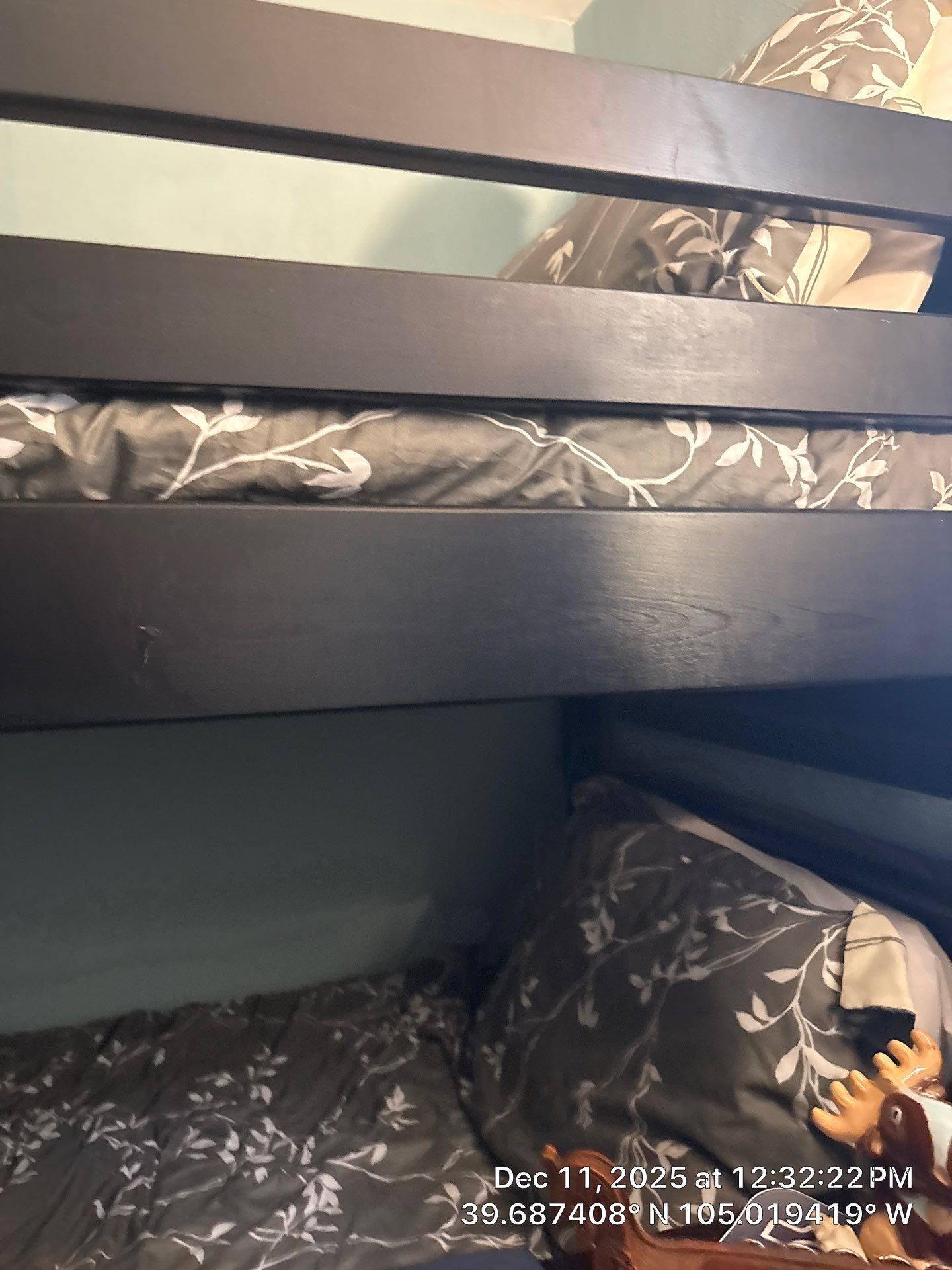 LA City Tree Work by CompanyCam Sales Demo