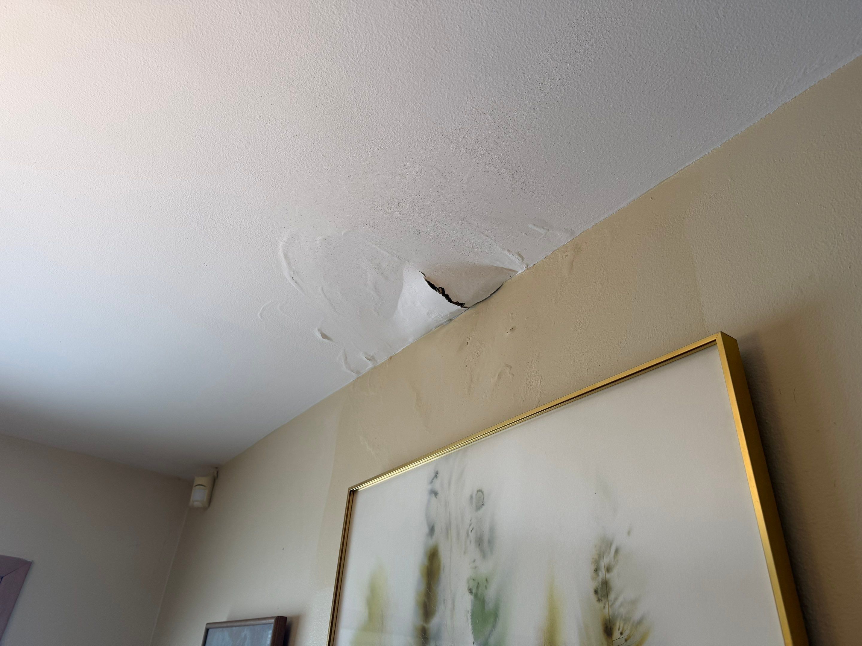 Ceiling Finishing by OCS Contracting Services