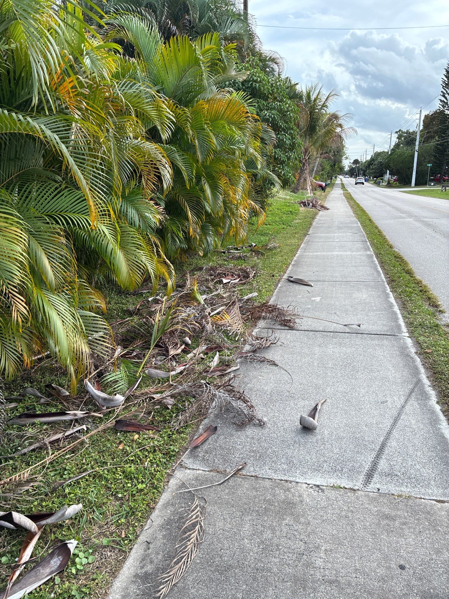 🏡 Pre-Sale Property Cleanup in Old Palm City, FL by Alpha Zeta Enterprises Inc