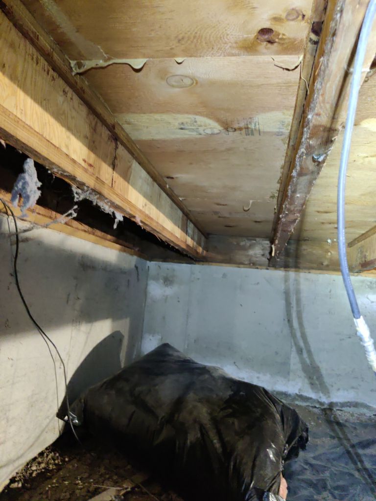 Crawl Space Cleanup  by Accountable Home Services