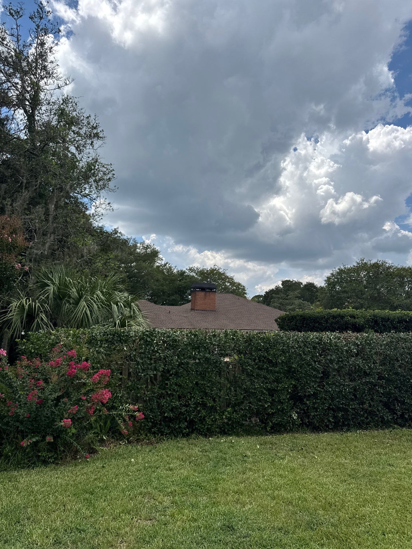 Deerwood Resident | Shrub Trimming by ProGreen Services