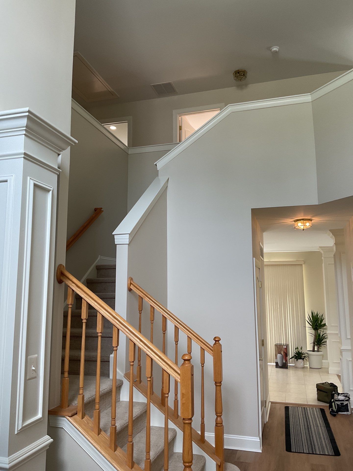 🏡 A Beautiful Whole-Home Interior Transformation in Bustleton by Groovy Hues