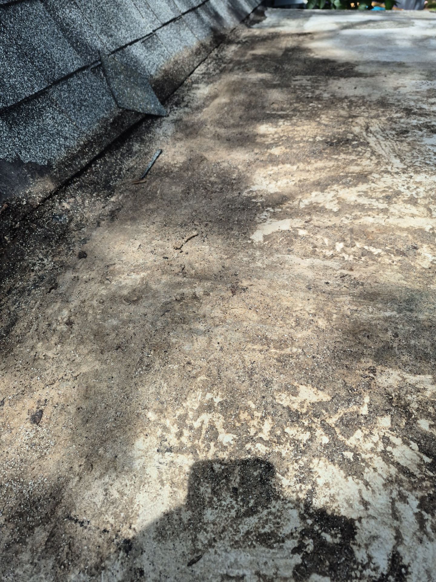 Project in Pinellas Park 33781 by Mitchell Roofing Company LLC