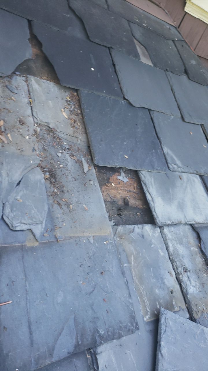 Slate Roof Repair & Gutter Cleaning in Roland Park by Roof Right Inc