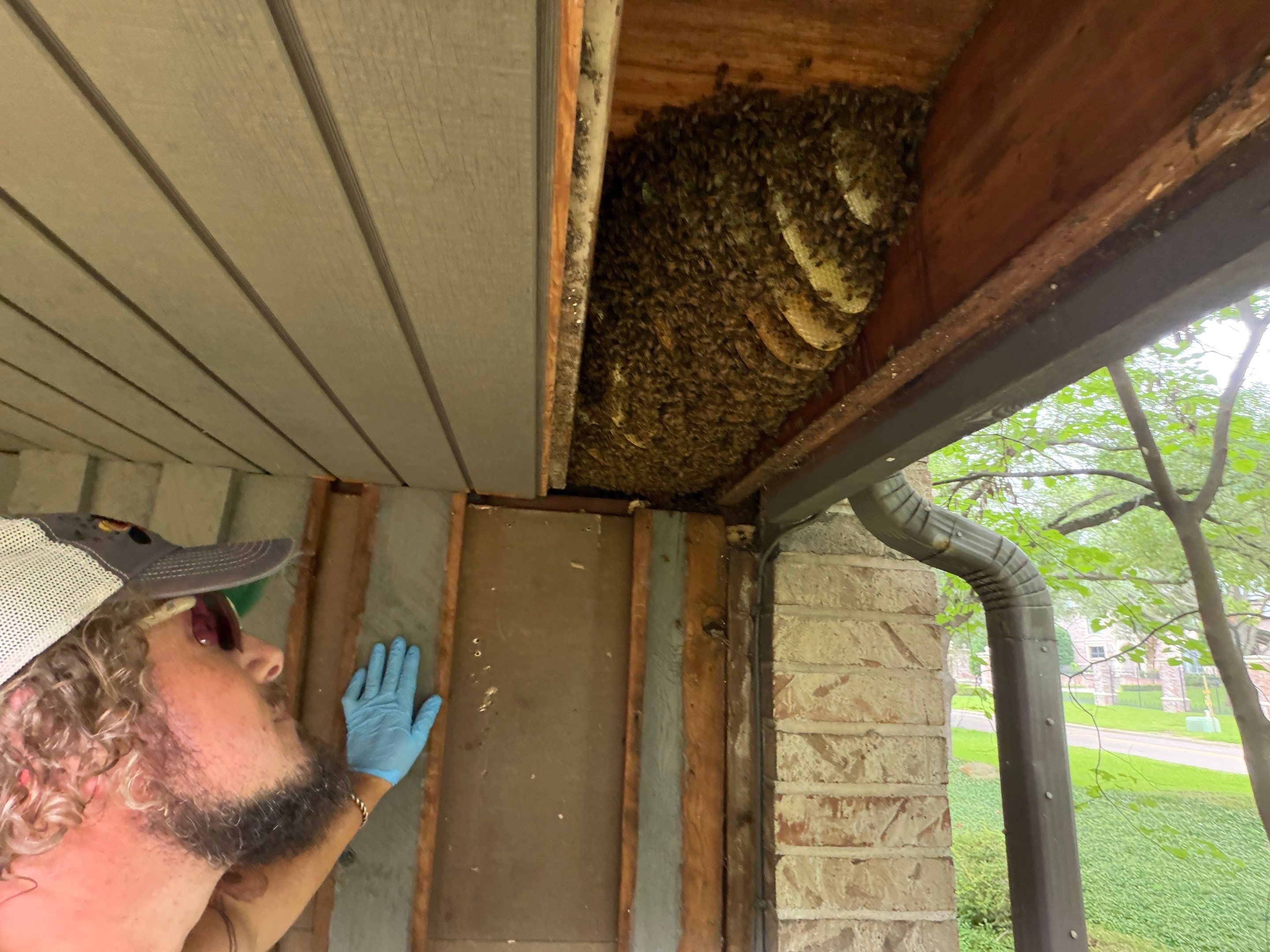 Love this house! by Rockwall Honey Bee Company