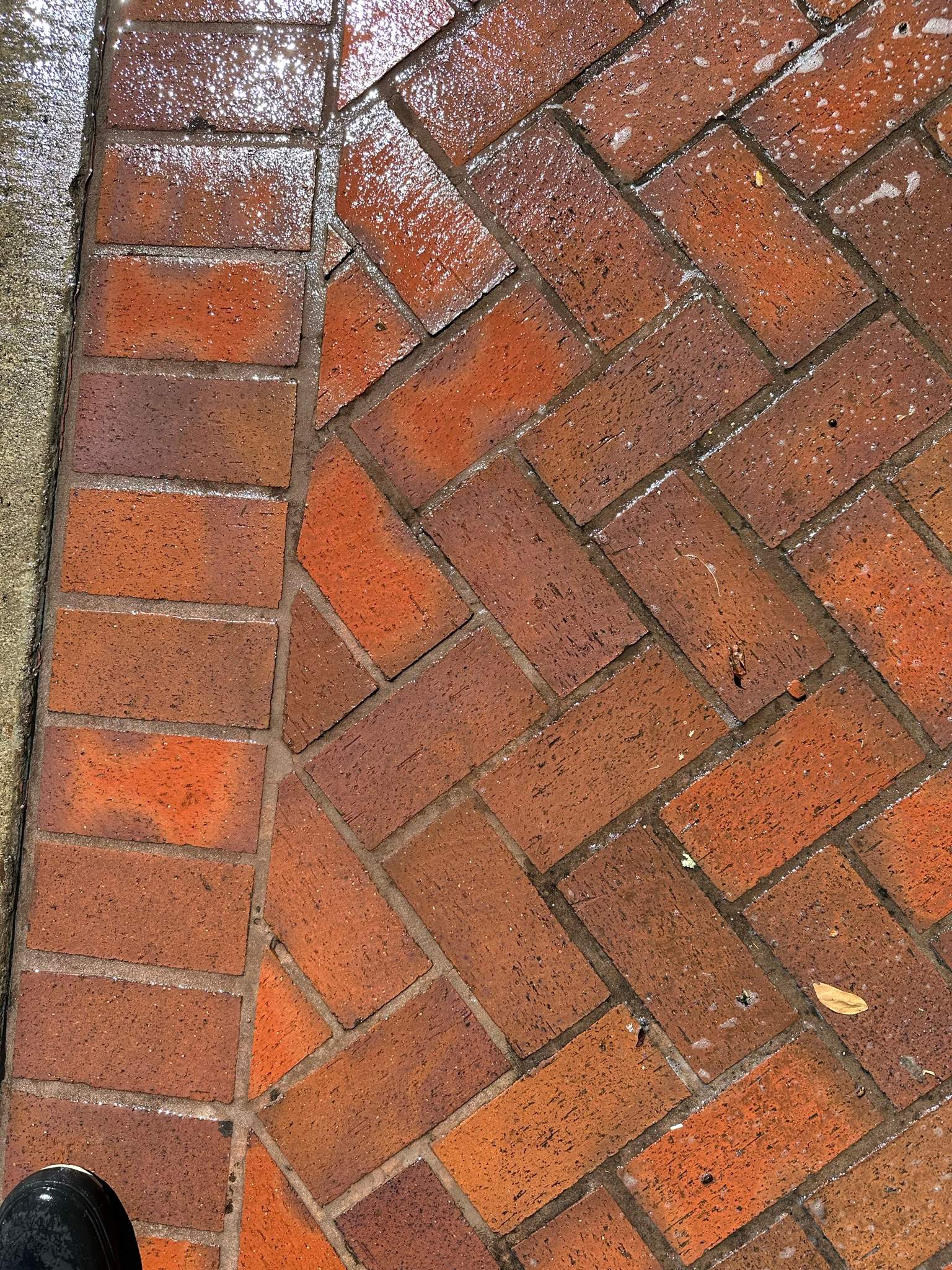 Orange County Clay Tile Roof Soft Wash on Unwalkwable Roof by Property Cleaning Experts, LLC