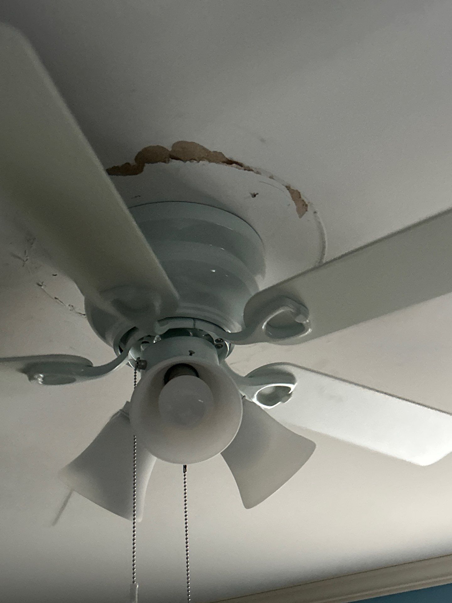 Residential Interior Painting in Annandale, VA by My Painter 