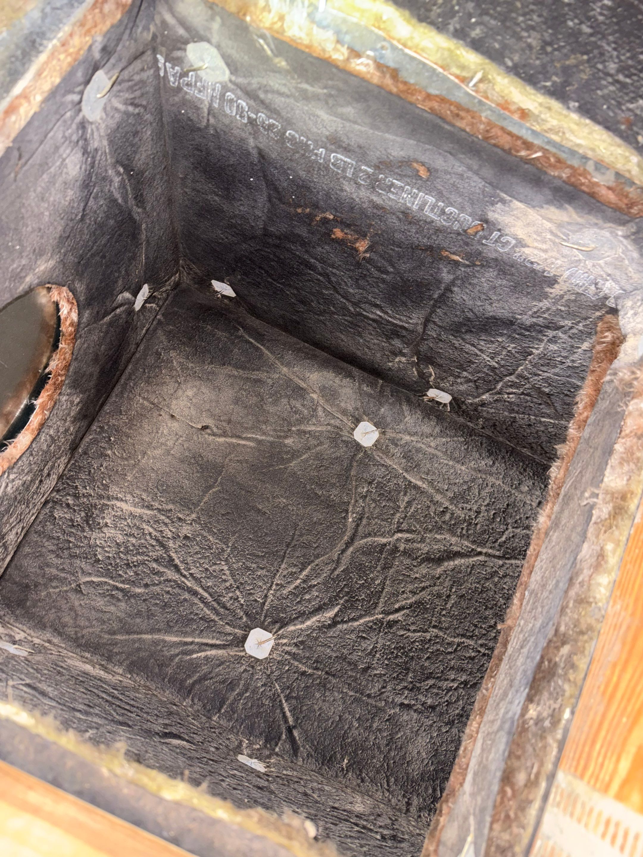 Duct Cleaning and Sanitizing in Dayton by Elemental Heating and air conditioning LLC