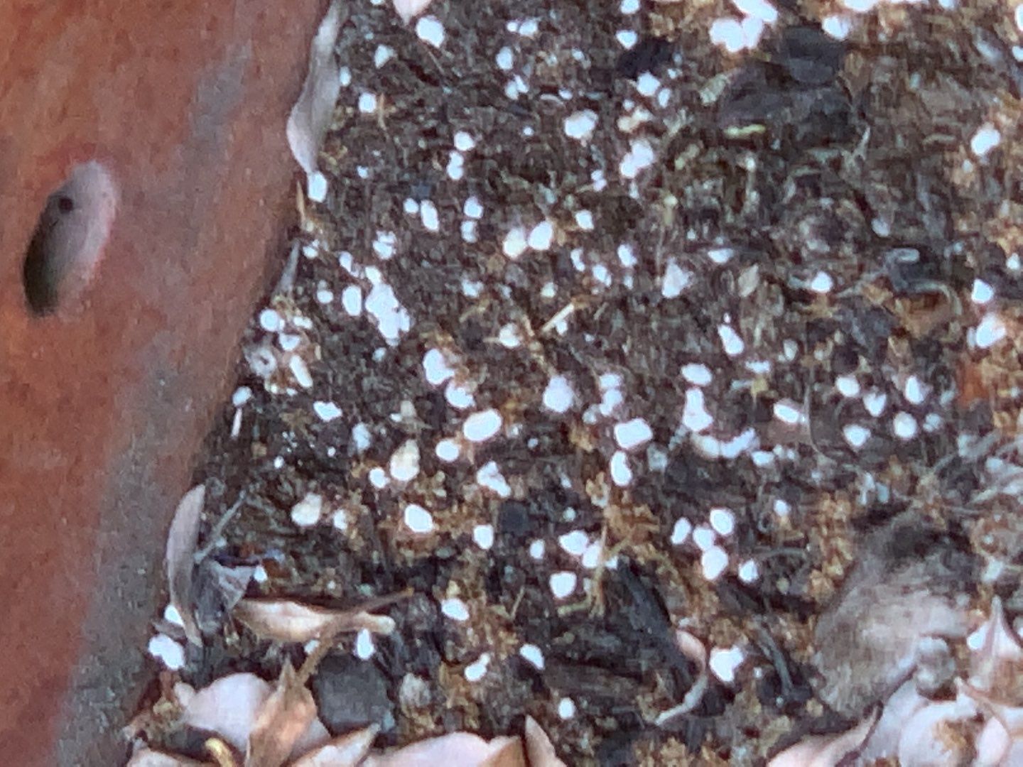 Eagle ID., Steep pitched Residential Roofing Installation using Owens Corning by ID Roofing LLC