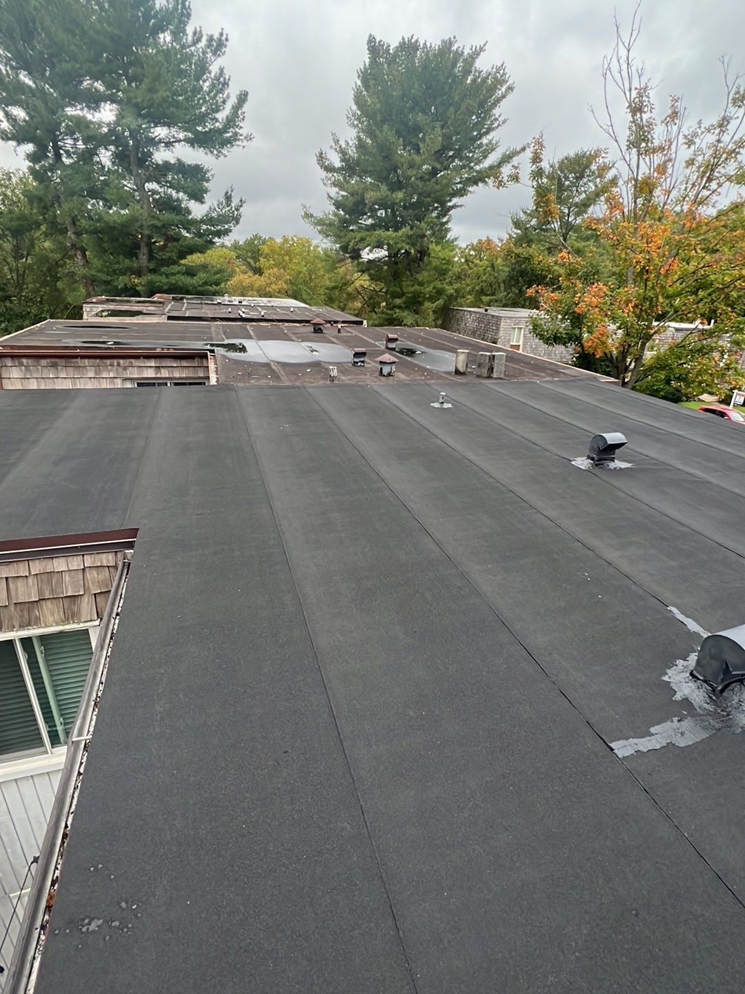 Modified Bitumen Membrane by Reimagine Roofing