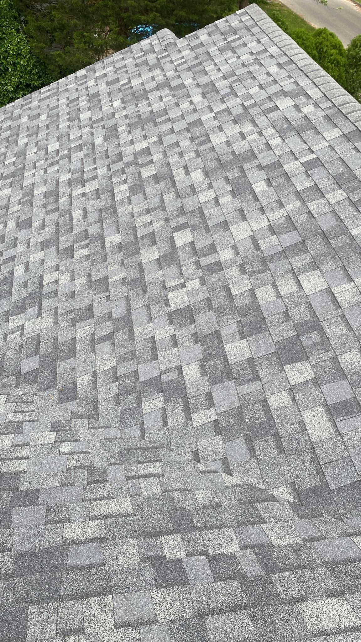 Silver Birch Shingles by Reimagine Roofing