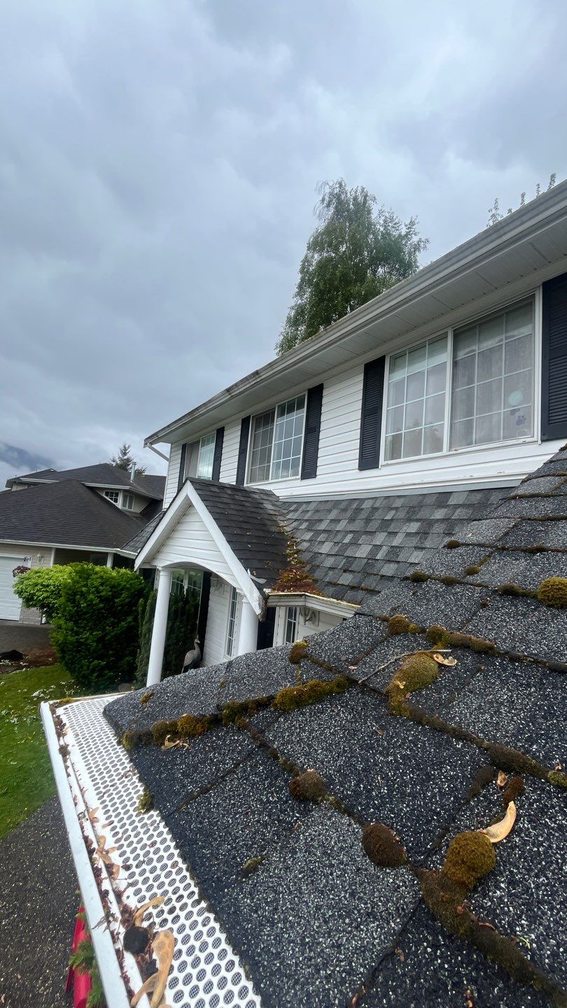 Residential Reroof Shingle - Pewter Grey by Top Notch Roofing Inc