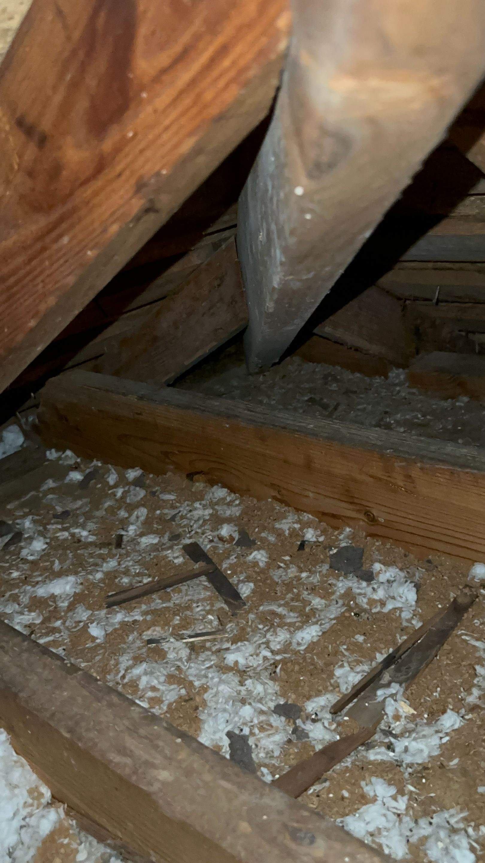 Unsealed Attic by Rockwall Honey Bee Company