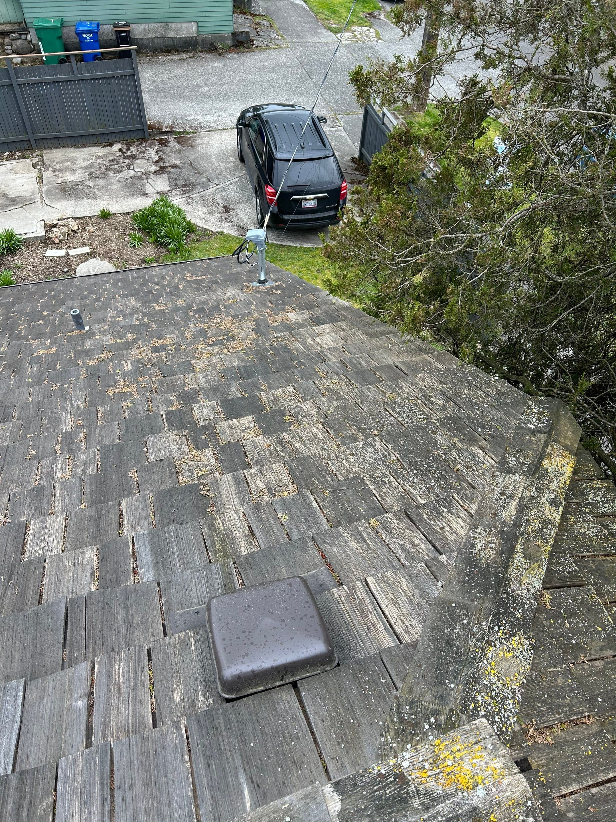 Project in Seattle by Peaks and Valleys Construction
