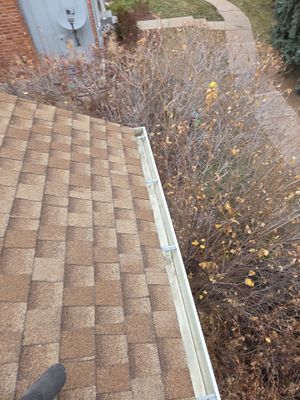 Gutter and Downspout Cleaning