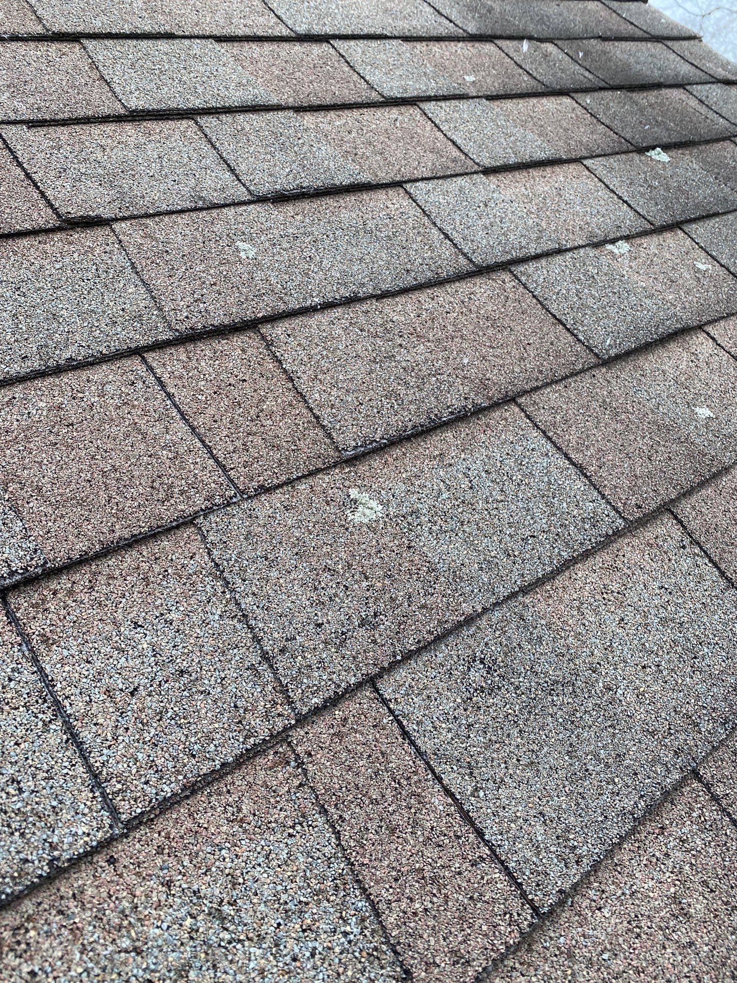 Realtor consult by Mighty Dog Roofing of Greater Middlesex County