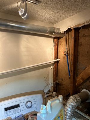 Mold Damage Project in Littleton