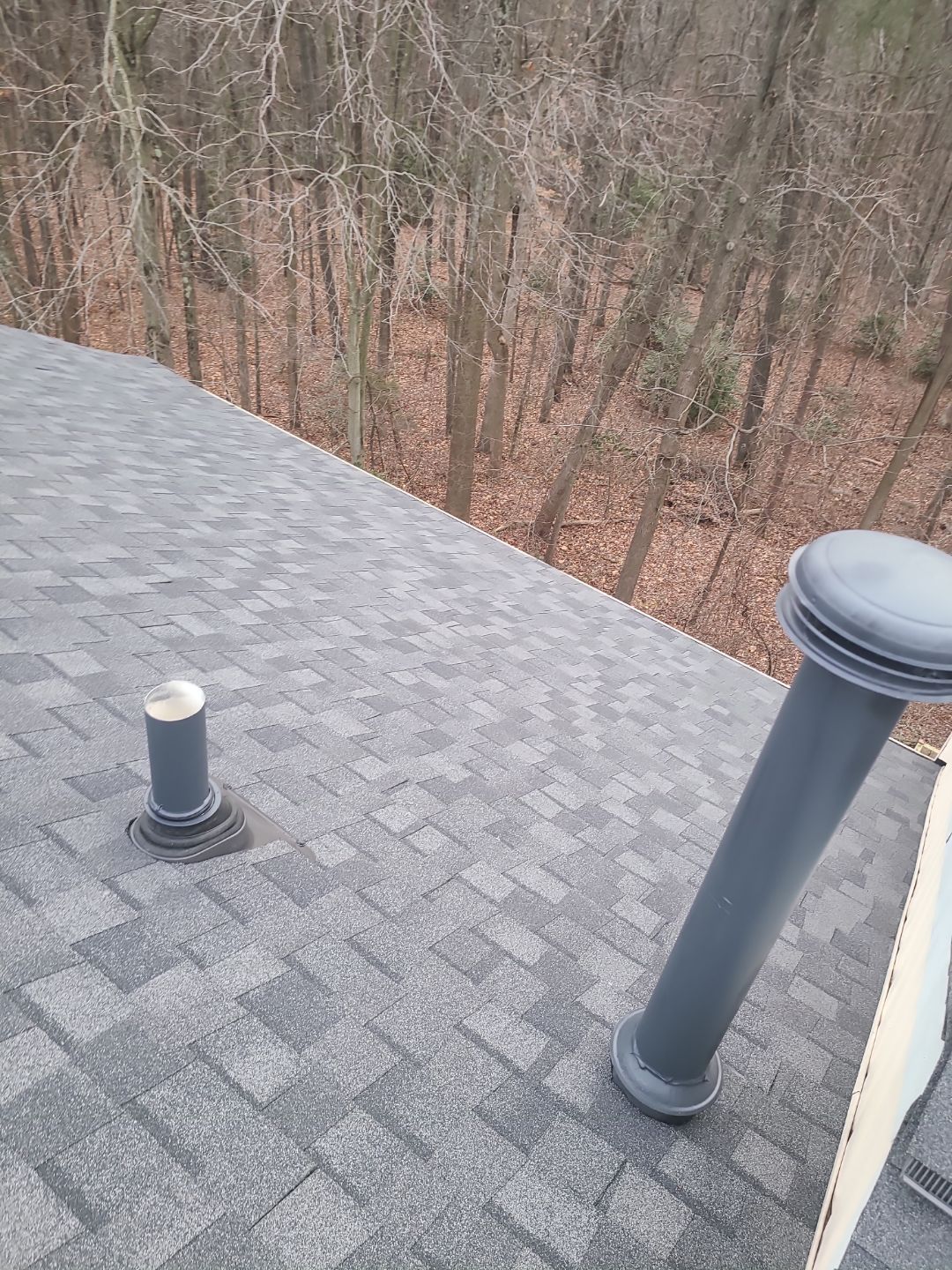 Alexandria CertainTeed Landmark Pro Roof in Max Def Pewterwood  by RM Banning, Inc.