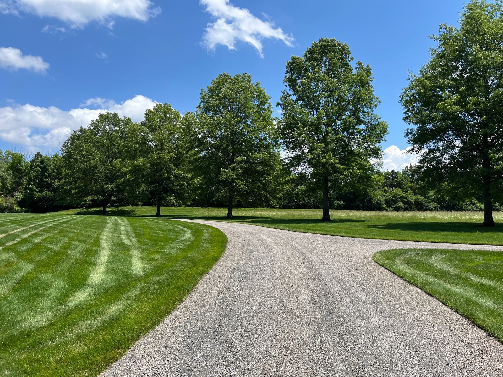 Professional Lawn Care for Far Hills Estate by Ants Plants