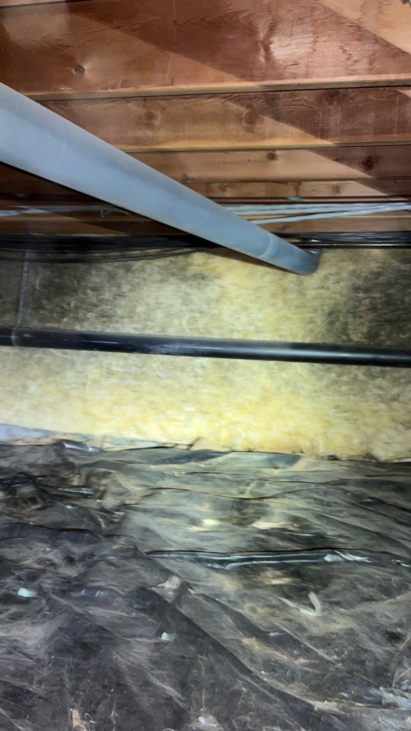 Mold Damage Project in Littleton by Accountable Home Services