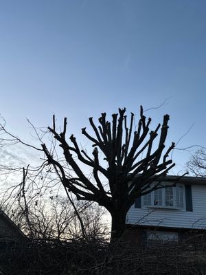 Project in Charleston, West Virginia