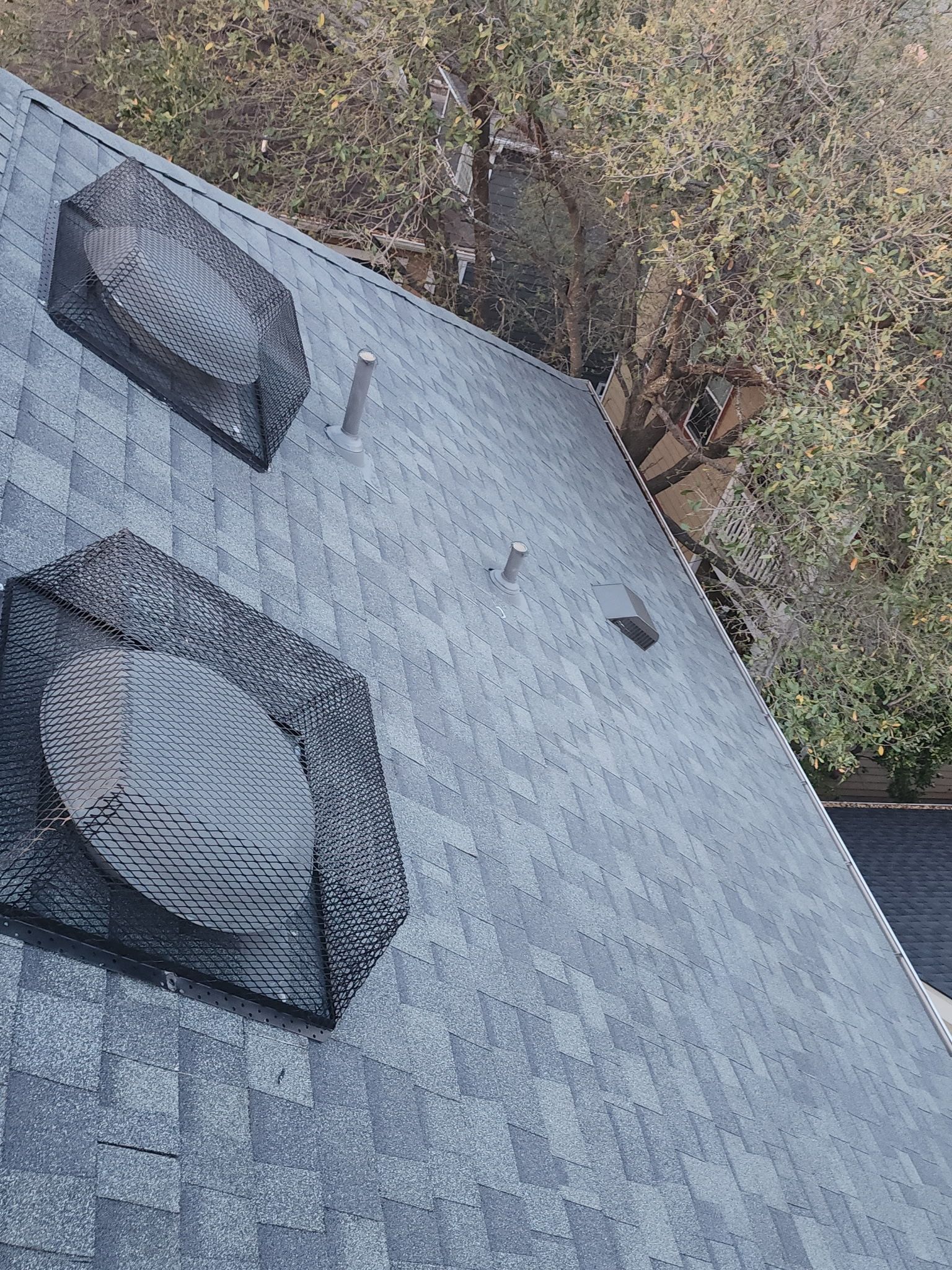Tall, tall, tall by REPS Austin Area Roofer